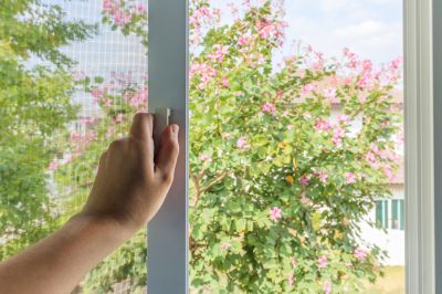 Window Screen Repair